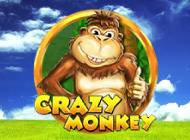 Crazy Monkey